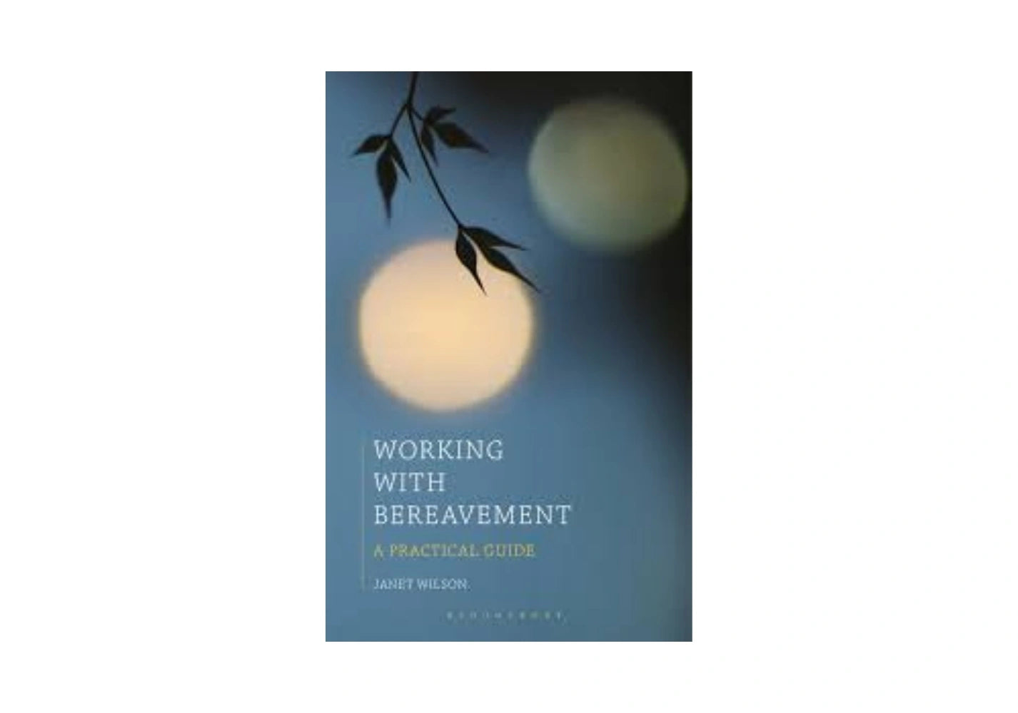 Working with Bereavement