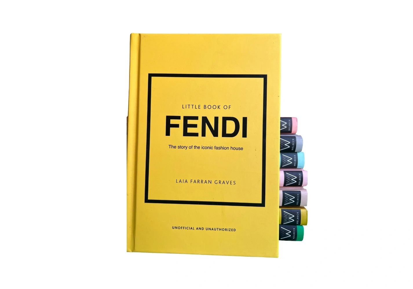 Little Book of Fendi: The story of the iconic fashion brand (Little Books of Fashion)