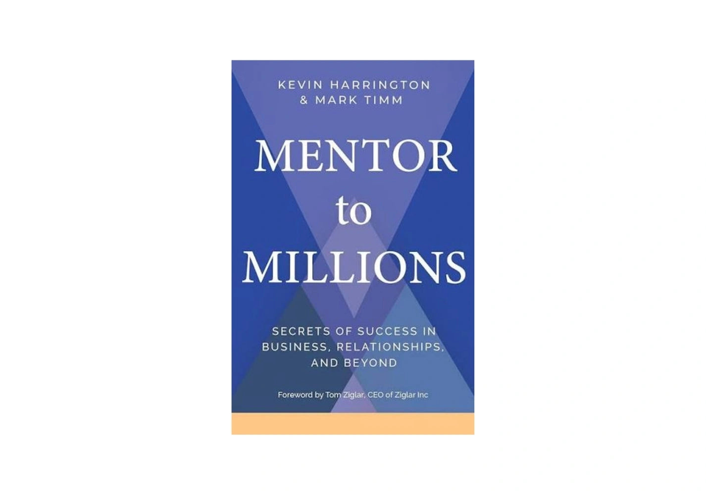 Mentor to Millions: Secrets of Success in Business, Relationships, and Beyond