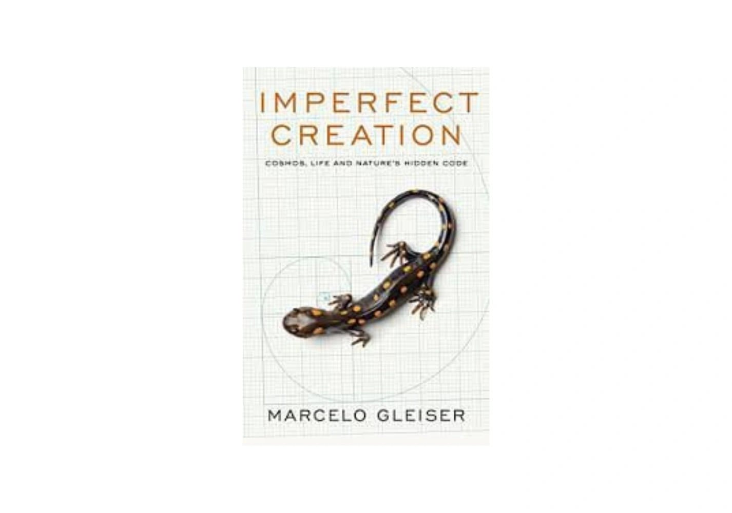 Imperfect Creation