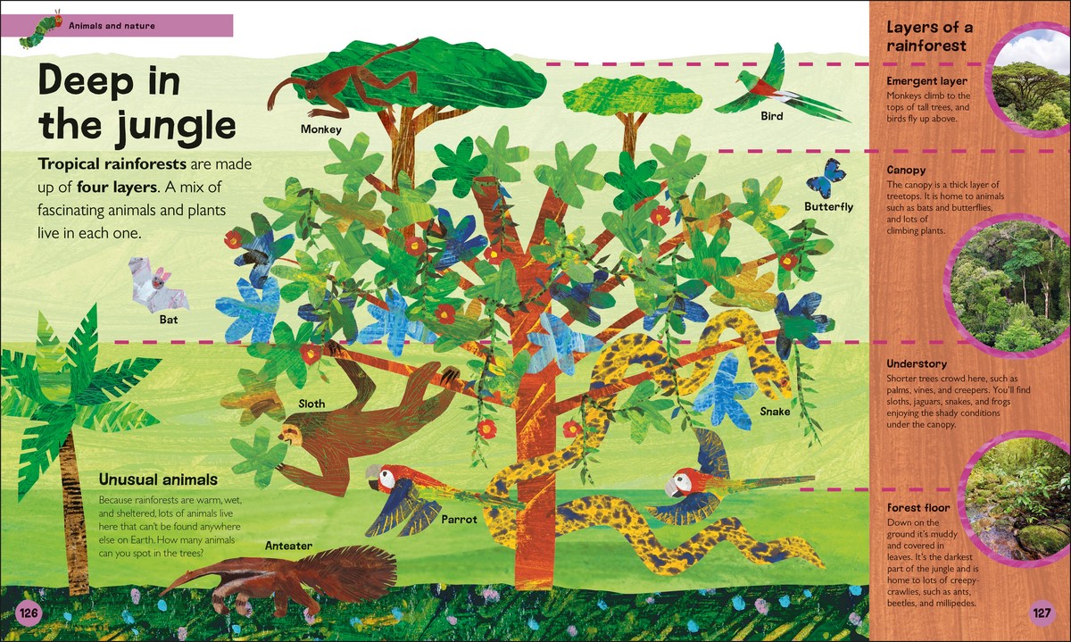 The Very Hungry Caterpillar's Very First Encyclopedia An Introduction to Everything, for VERY Hungry Young Minds
