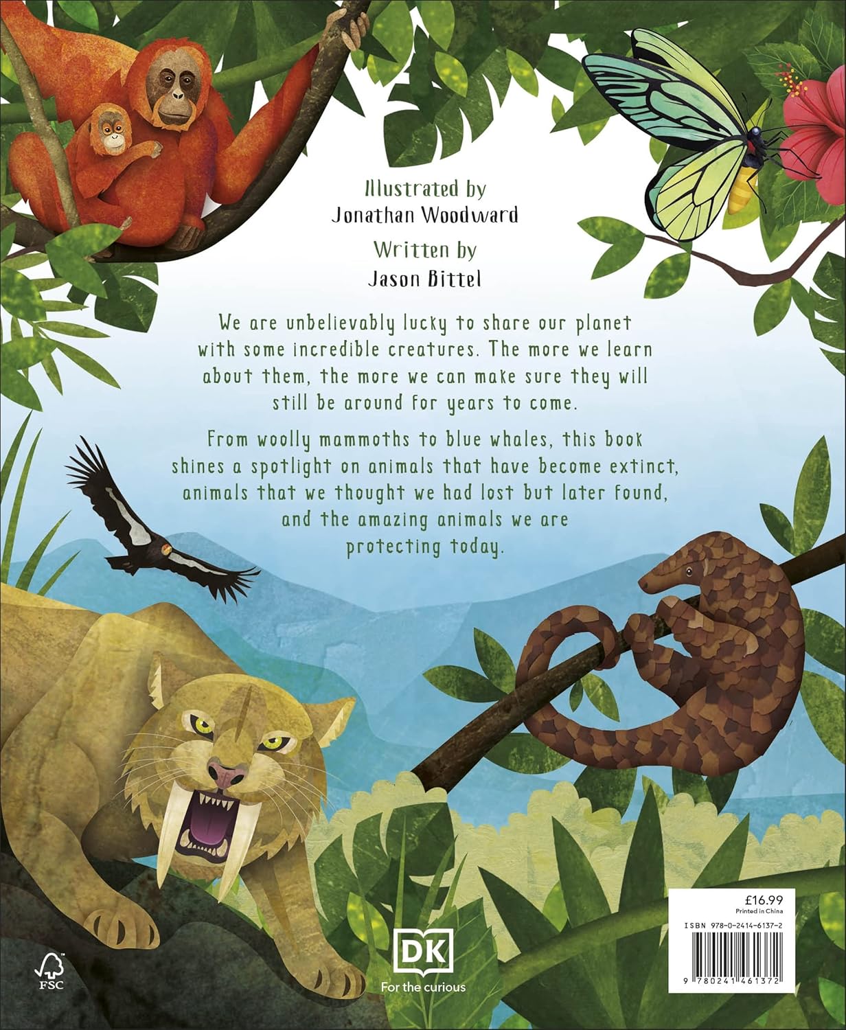 Animals Lost and Found Hardcover