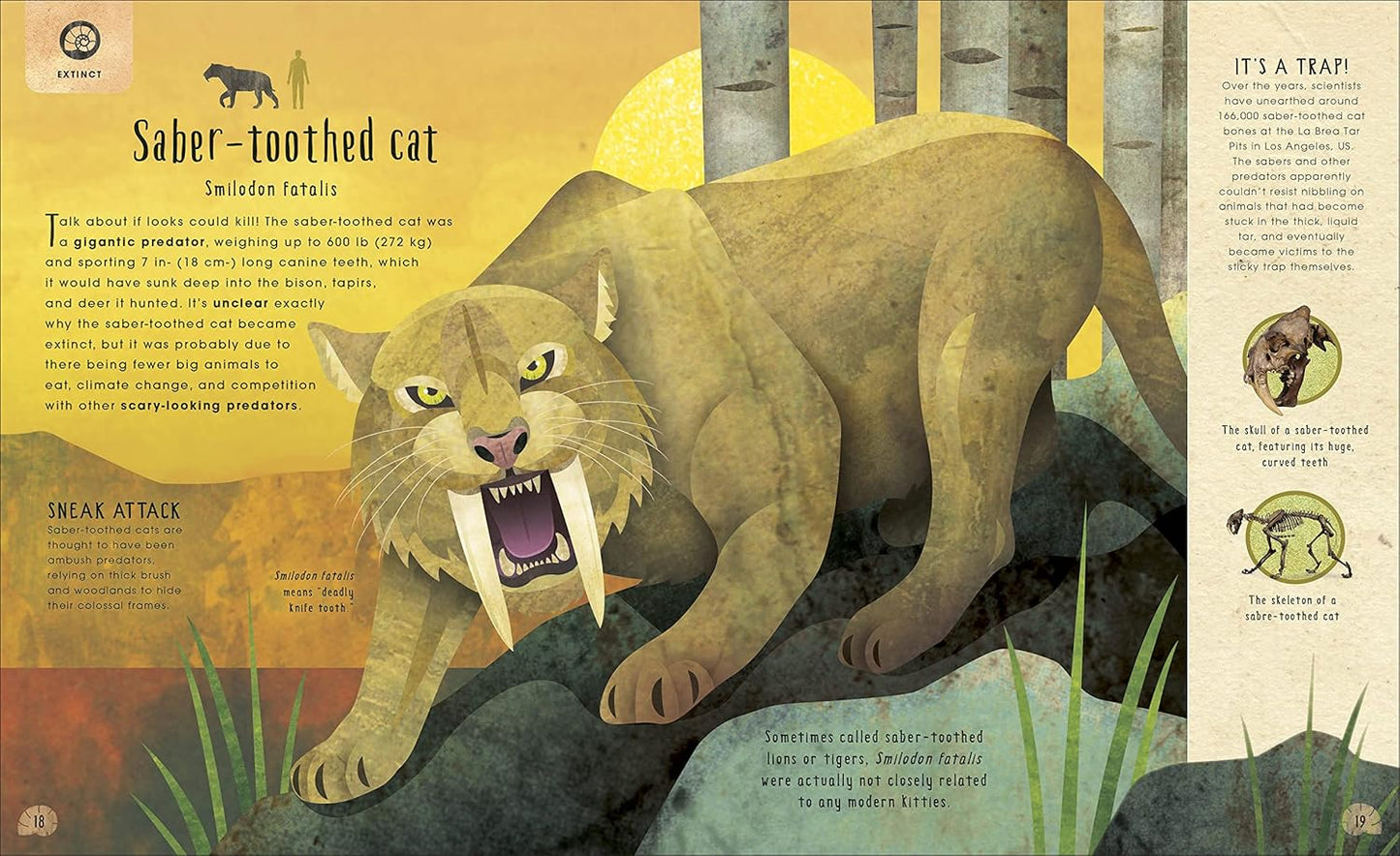 Animals Lost and Found Hardcover