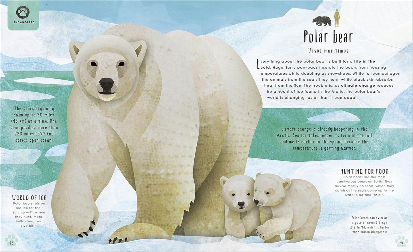 Animals Lost and Found Hardcover