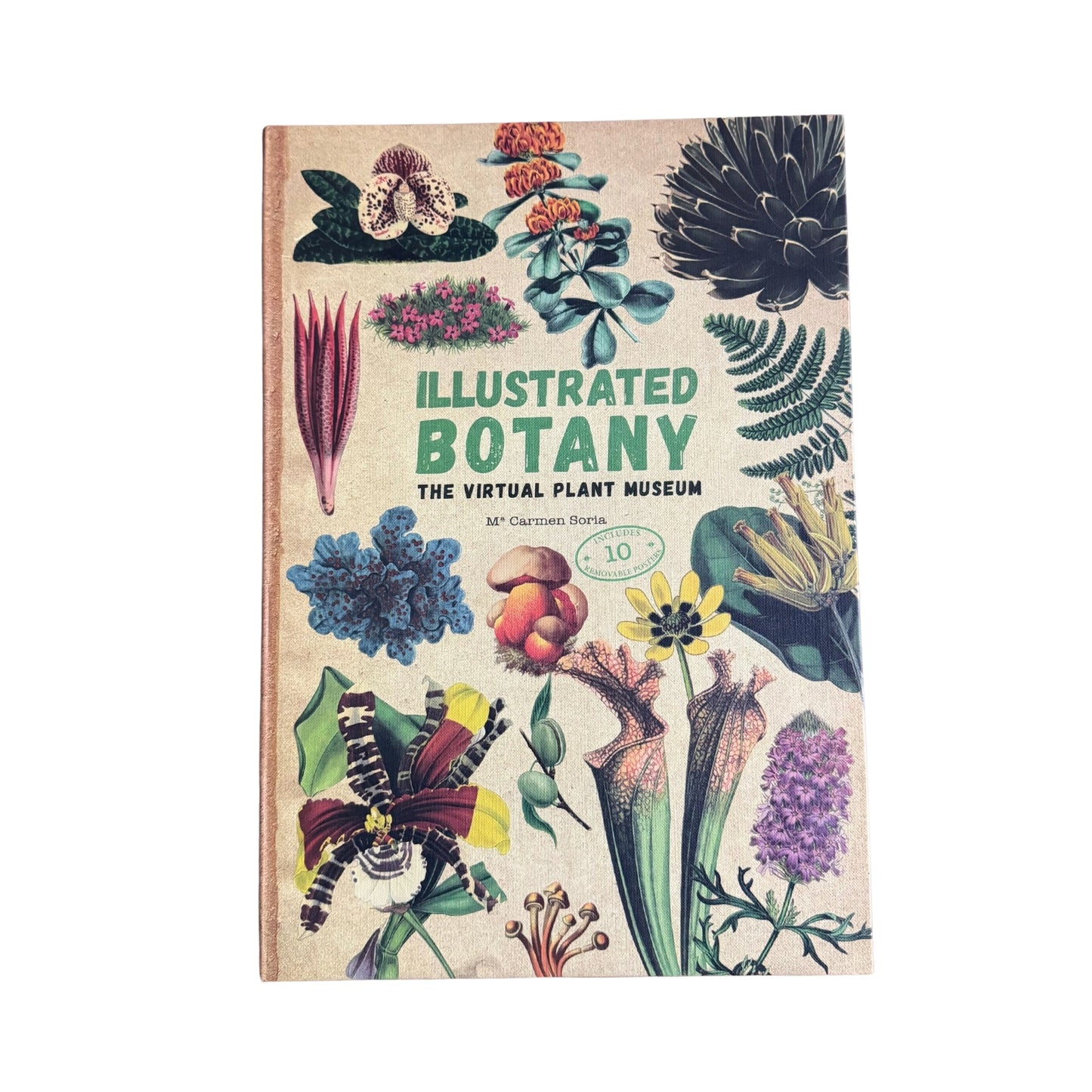 Illustrated Botany: The Virtual Plant Museum
