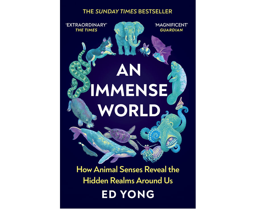 Immense World