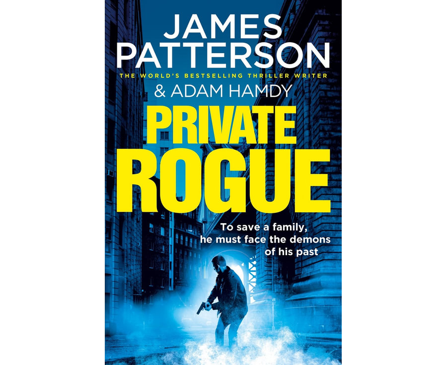 Private Rogue : (Private 16)