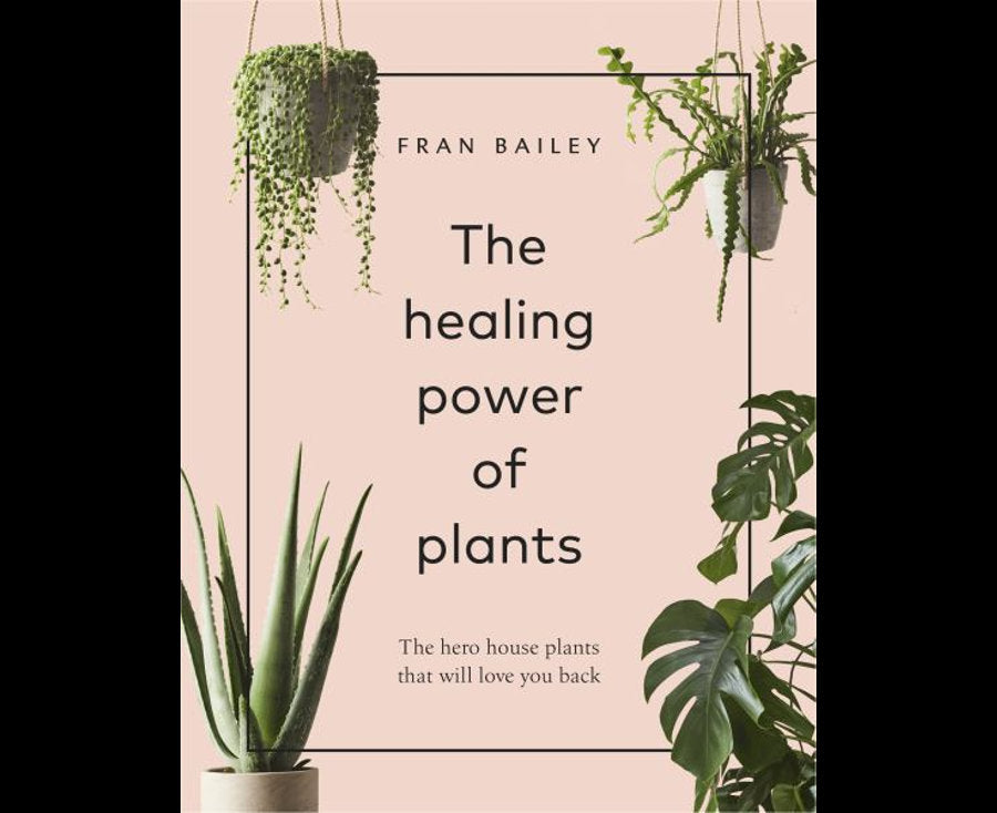 The Healing Power of Plants: The Hero House Plants that Love You Back