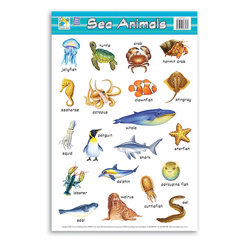 Jasart Learning Wall Chart, SEA ANIMALS, Bright Brilliant Colours, Laminated Chart