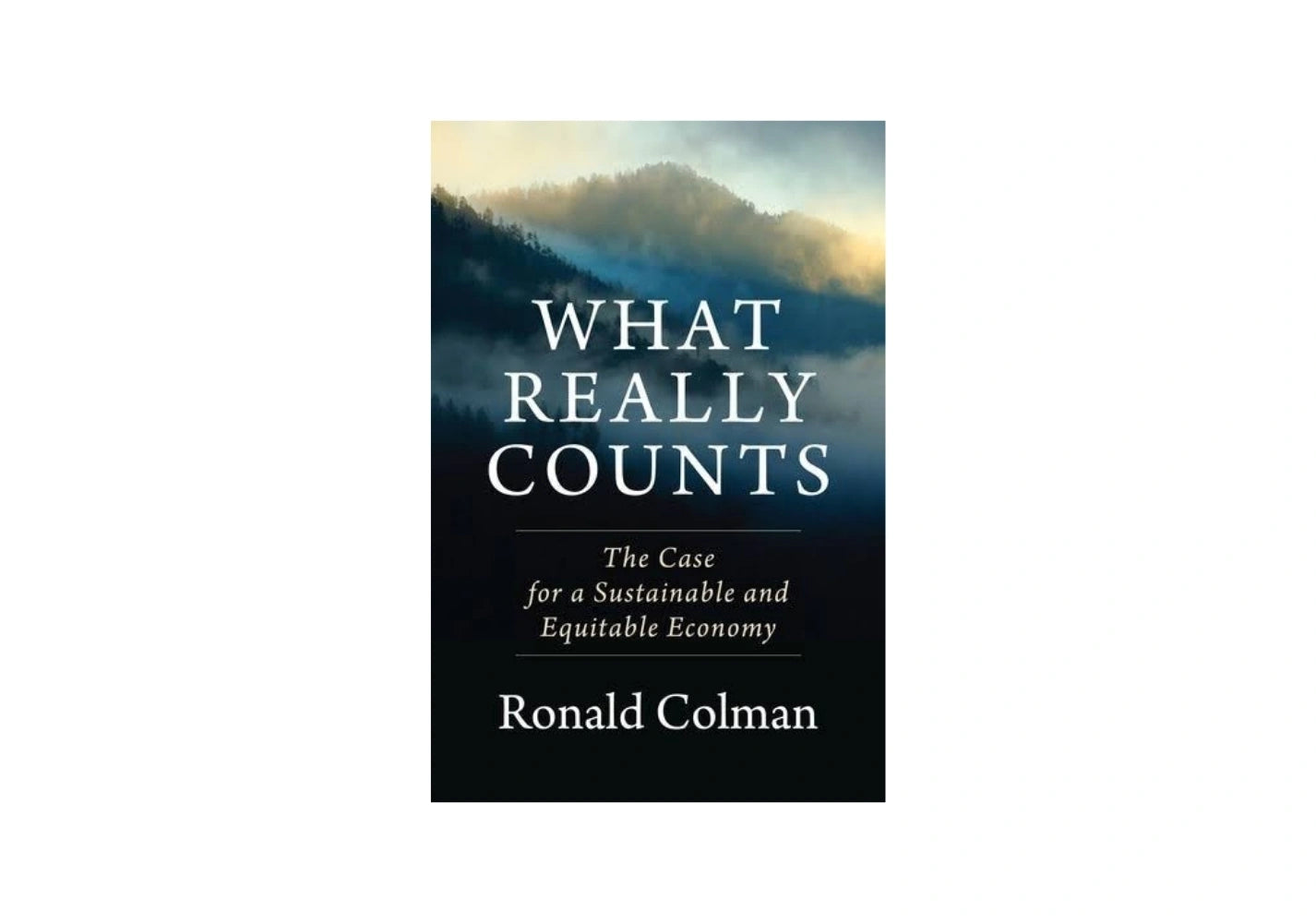 What Really Counts: The Case for a Sustainable and Equitable Economy