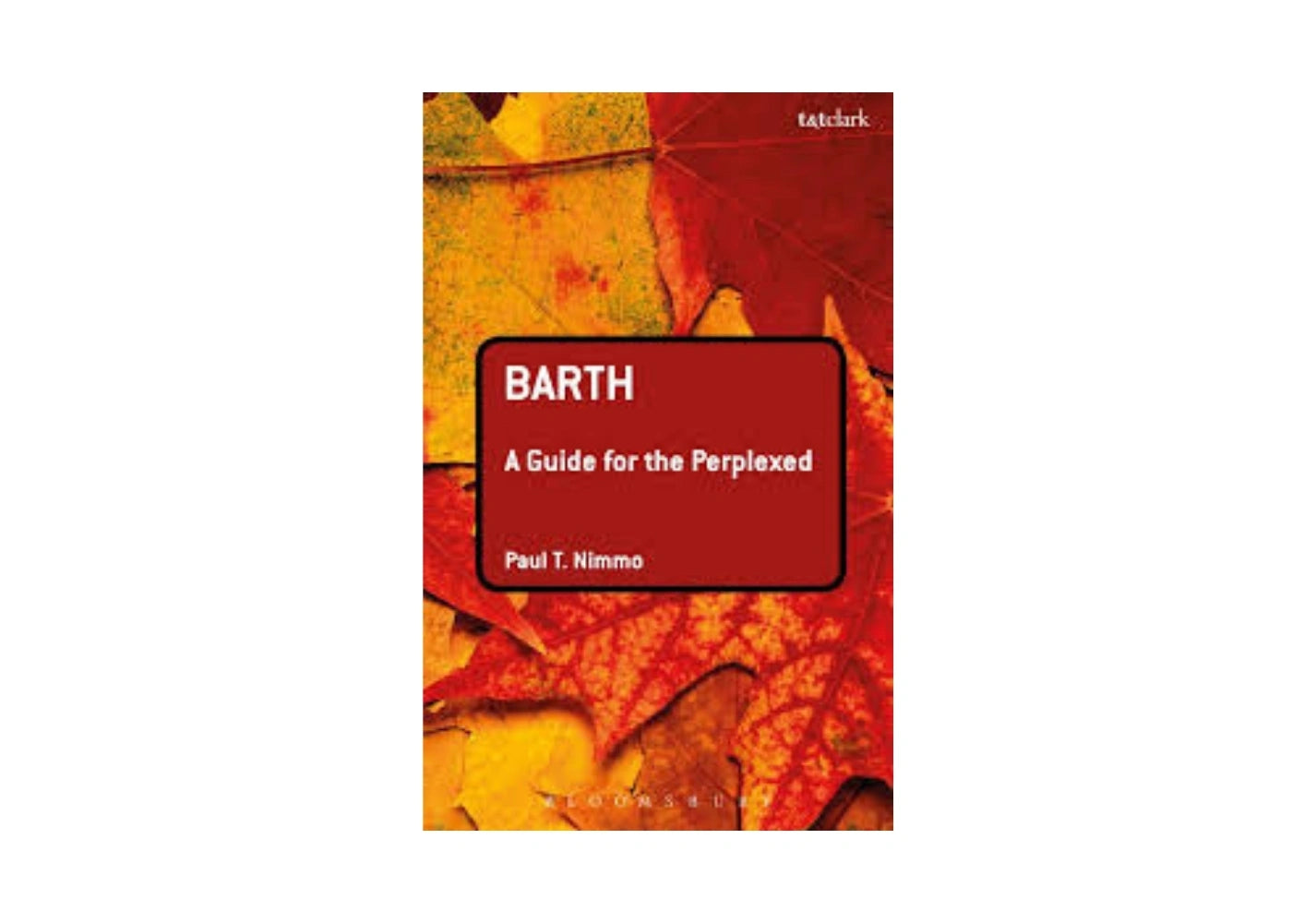 Barth: A Guide for the Perplexed (Guides for the Perplexed)