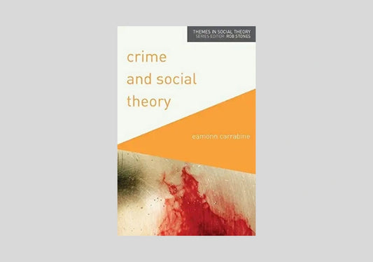 Crime and Social Theory (Themes in Social Theory, 7)