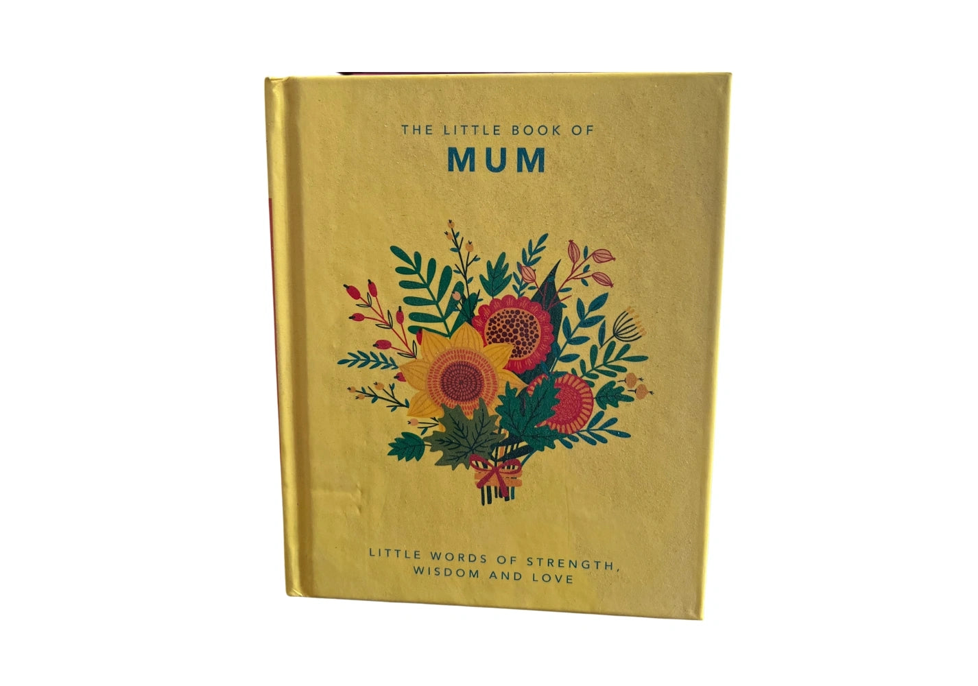 The Little Book of Mom: Little Words of Strength, Wisdom and Love (The Little Books of Humor & Gift, 5)