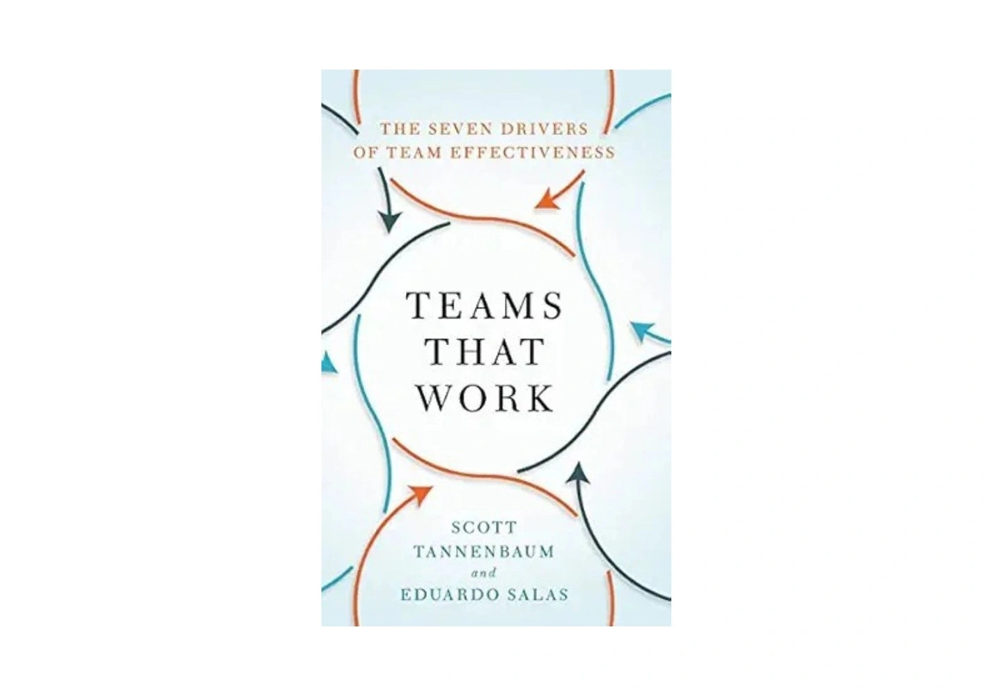 Teams That Work: The Seven Drivers of Team Effectiveness