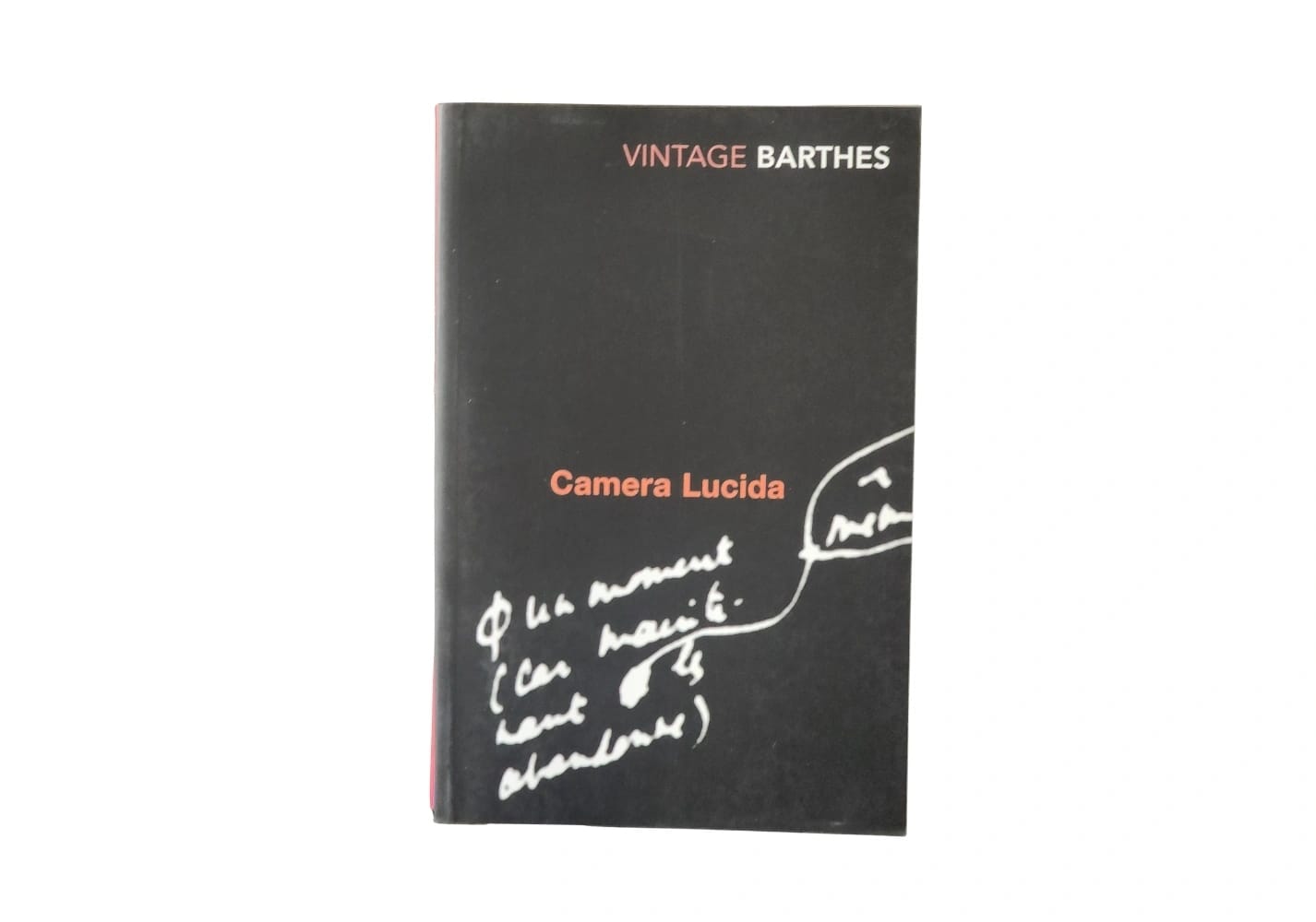 Camera Lucida: Reflections on Photography