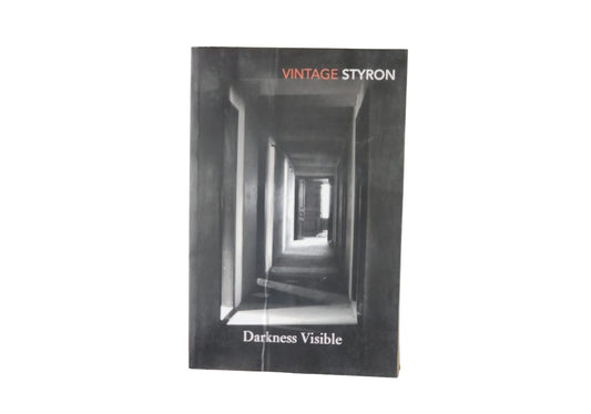 Darkness Visible