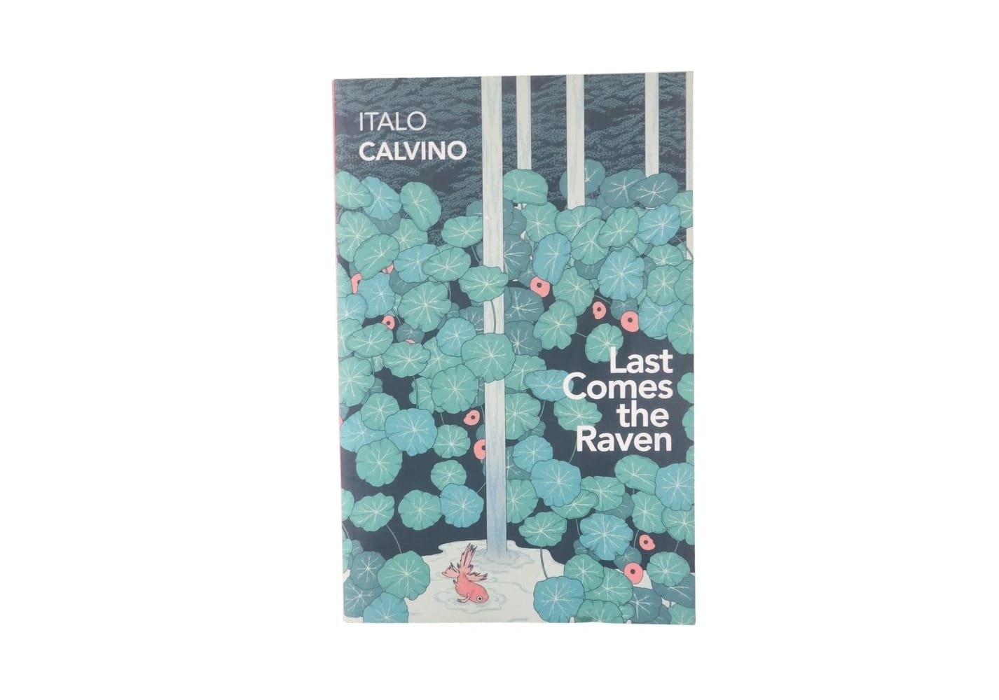 Last Comes the Raven