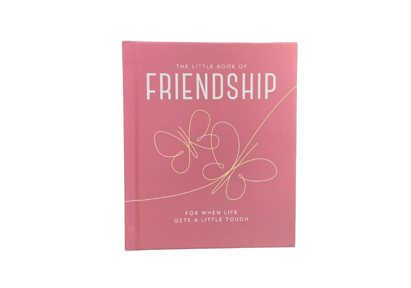 The Little Book of Friendship: For when life gets a little tough (Little Books of Wellbeing)