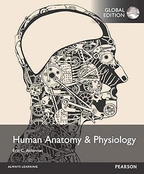 Human anatomy & physiology 17
