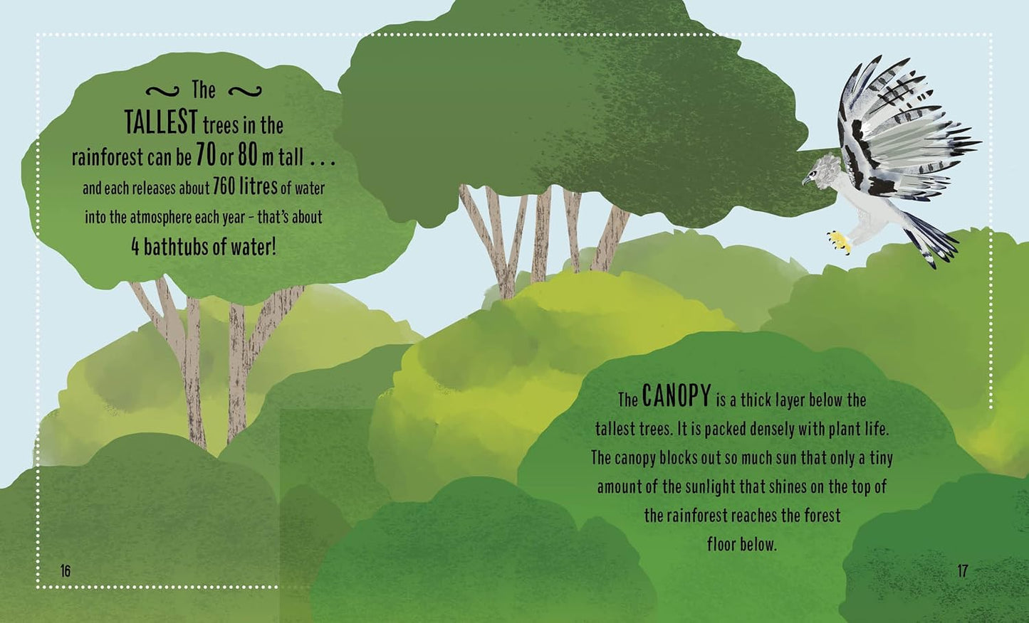 The Small and Mighty Book of Rainforests Pocket-Sized Books, Massive Facts!