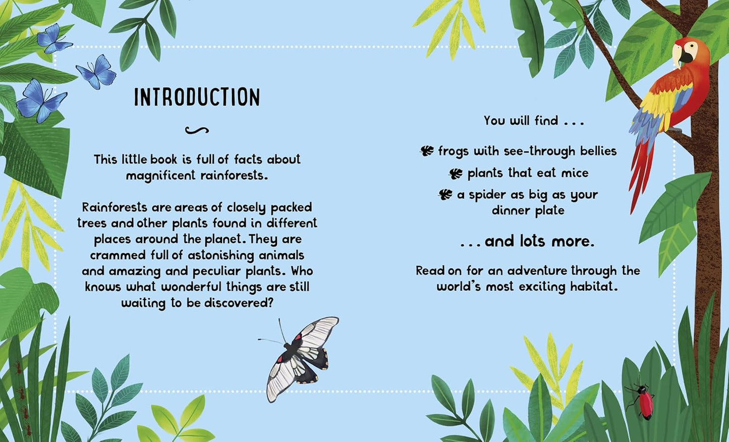 The Small and Mighty Book of Rainforests Pocket-Sized Books, Massive Facts!