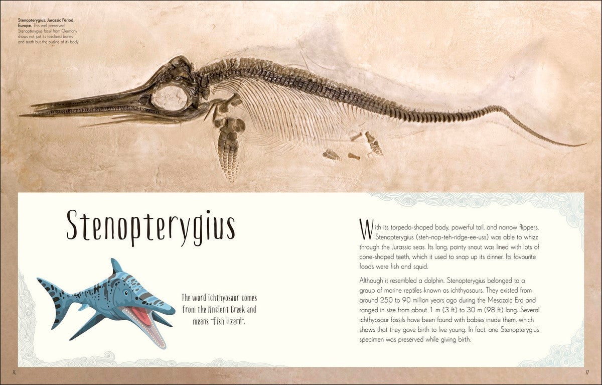 Dinosaurs and other Prehistoric Life