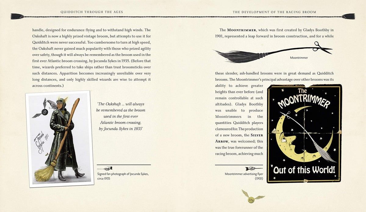 Quidditch Through the Ages - Illustrated Edition A magical companion to the Harry Potter stories
