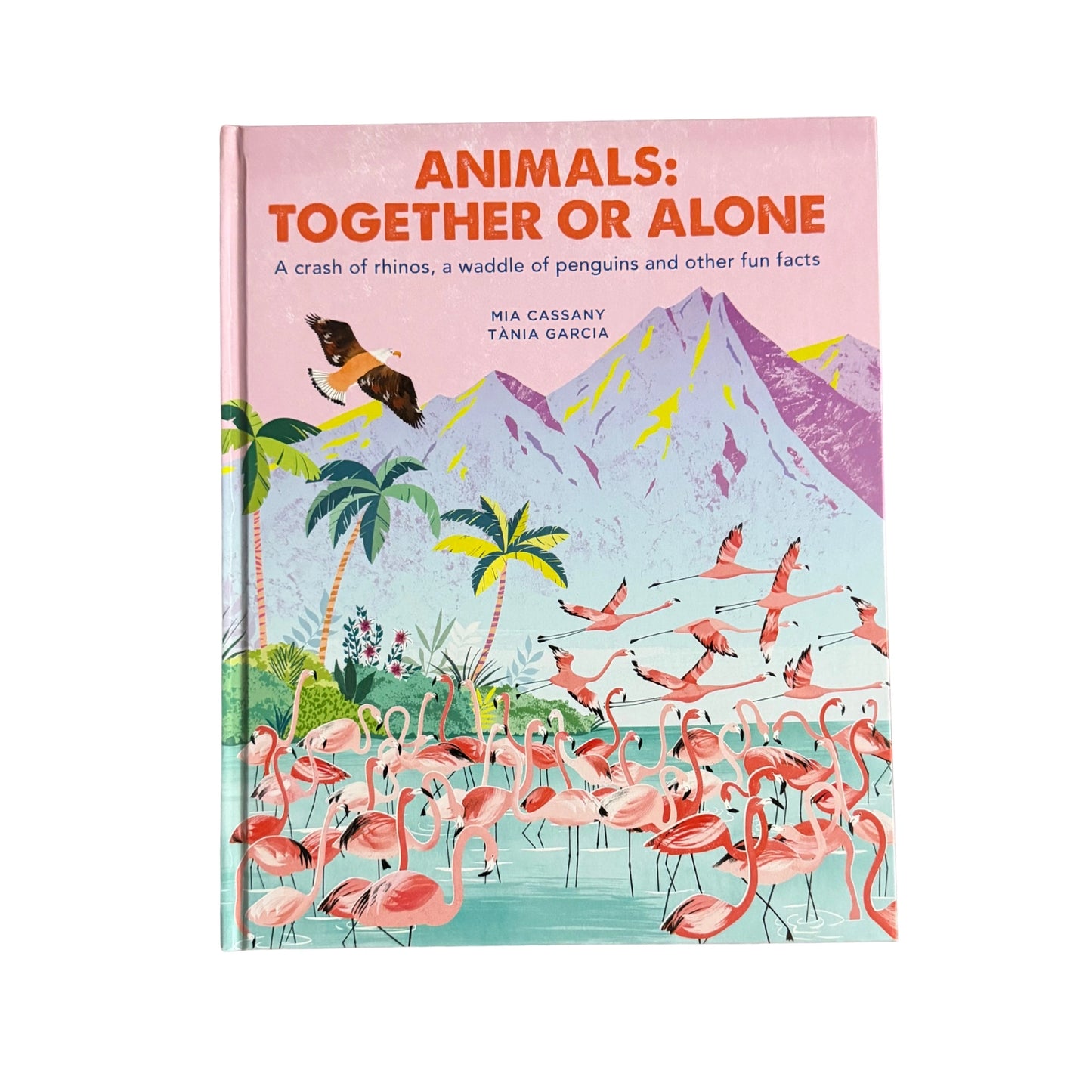 Animals: Together or Alone: A crash of rhinos, a waddle of penguins and other fun facts
