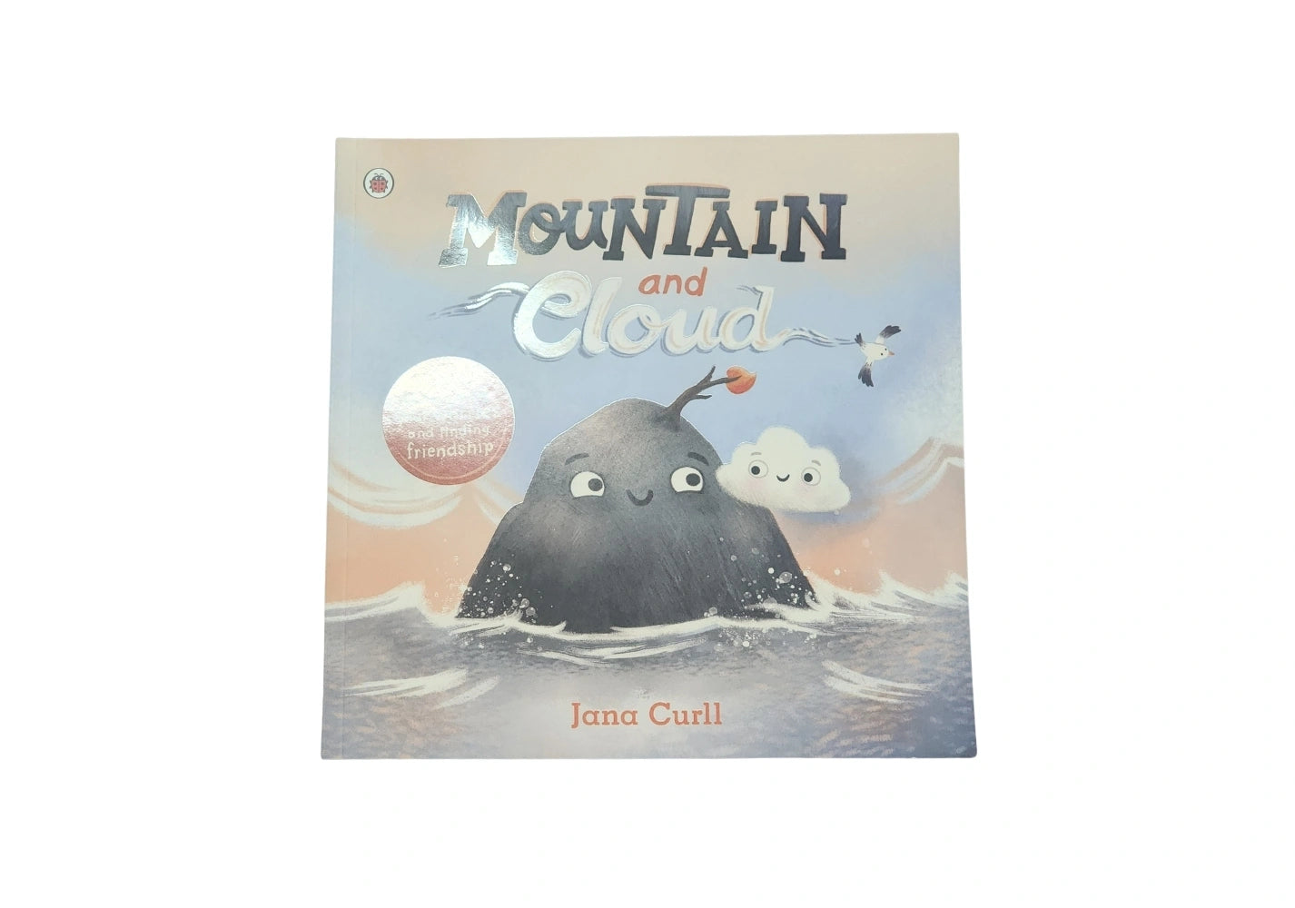 Mountain and Cloud: A story about facing your worries and finding friendship