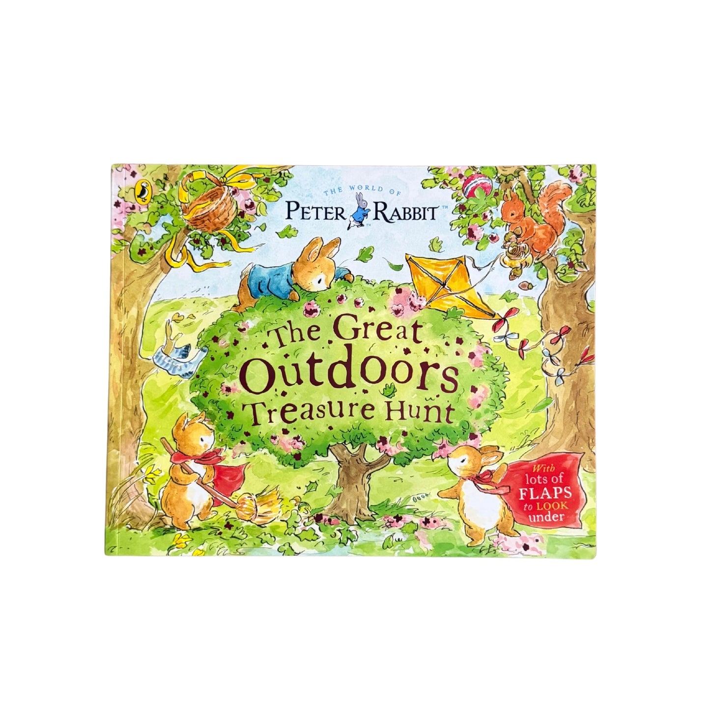 The Great Outdoors Treasure Hunt: With Lots of Flaps to Look Under (Peter Rabbit)