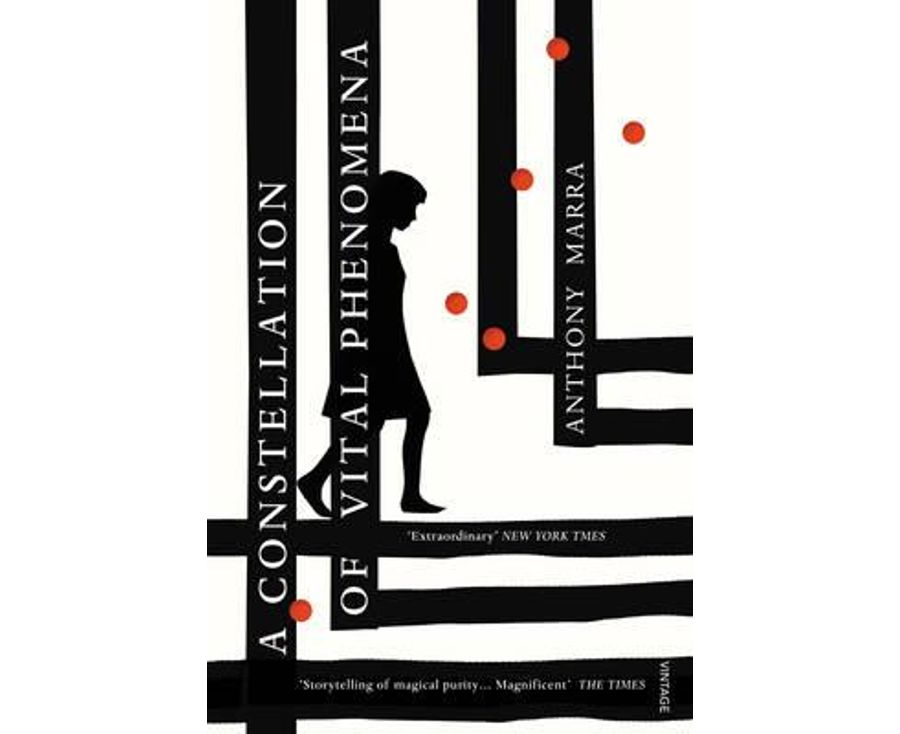 A Constellation of Vital Phenomena
