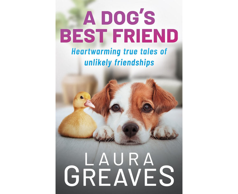 A Dog's Best Friend: Heartwarming true tales of unlikely friendship