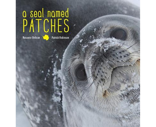A seal named Patches