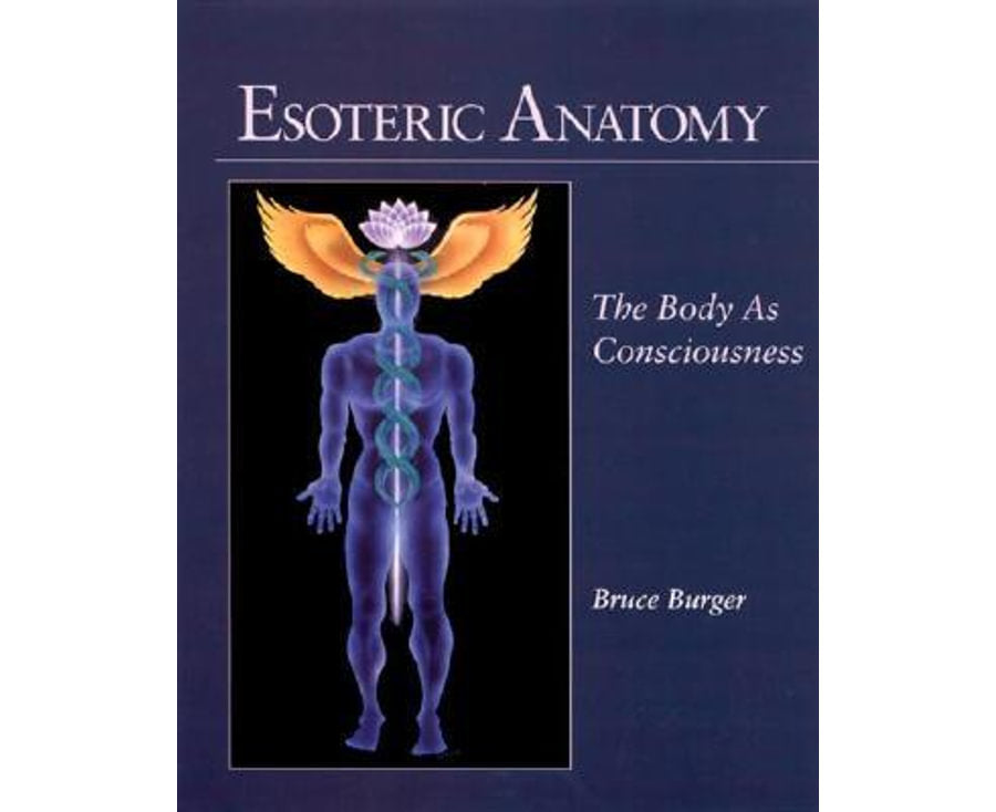 Esoteric Anatomy: The Body as Consciousness