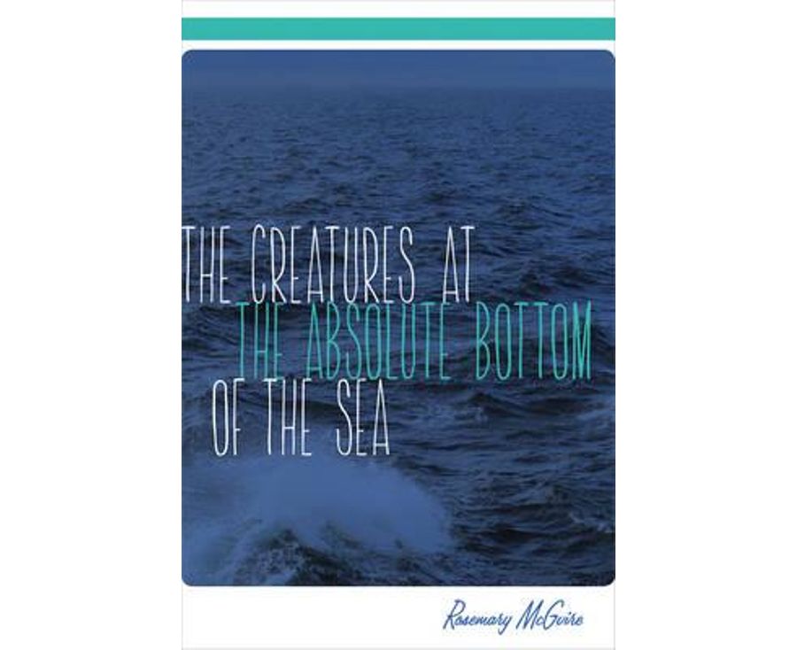 The creatures at the absolute bottom of the sea