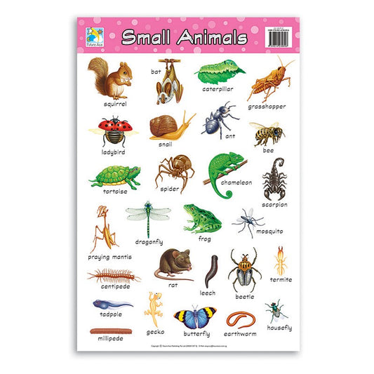 Jasart Learning Wall Chart, SMALL ANIMALS, Bright Brilliant Colours, Laminated Chart